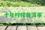 十年檸檬普洱茶