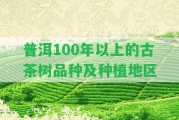 普洱100年以上的古茶樹品種及種植地區(qū)