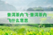 普洱茶內(nèi)飛-普洱茶內(nèi)飛什么意思