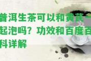 普洱生茶可以和黃芪一起泡嗎？功效和百度百科詳解