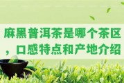 麻黑普洱茶是哪個(gè)茶區(qū)，口感特點(diǎn)和產(chǎn)地介紹