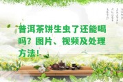 普洱茶餅生蟲(chóng)了還能喝嗎？圖片、視頻及解決方法！