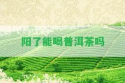 陽了能喝普洱茶嗎