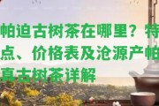 帕迫古樹茶在哪里？特點、價格表及滄源產帕真古樹茶詳解