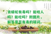 青蟒蛇有毒嗎？能咬人嗎？能吃嗎？附圖片，解答是不是有毒的疑問。