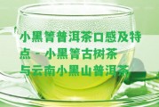 小黑箐普洱茶口感及特點(diǎn) - 小黑箐古樹茶與云南小黑山普洱茶