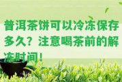 普洱茶餅可以冷凍保存多久？留意喝茶前的解凍時間！