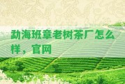 勐海班章老樹茶廠怎么樣，官網(wǎng)