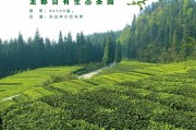 你忽略的是與傳統(tǒng)茶道精神不同的四個字，天福茗茶