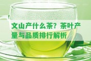 文山產(chǎn)什么茶？茶葉產(chǎn)量與品質(zhì)排行解析