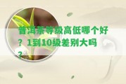 普洱茶等級高低哪個好？1到10級差別大嗎？