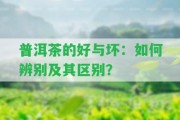 普洱茶的好與壞：怎樣辨別及其區(qū)別？