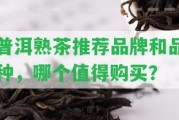 普洱熟茶推薦品牌和品種，哪個(gè)值得購(gòu)買？