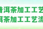 熟普洱茶加工工藝-熟普洱茶加工工藝流程