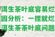 普洱生茶葉底容易爛的起因分析：一捏就爛的普洱生茶茶葉底疑問(wèn)