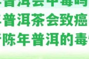 陳年普洱會中毒嗎？喝陳年普洱茶會致癌嗎？解析陳年普洱的毒性疑問