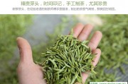 亞洲優(yōu)家木藏茶聞名世界，白毫銀針原產(chǎn)地