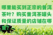 哪里能買(mǎi)到正宗的普洱茶葉？購(gòu)買(mǎi)普洱茶罐頭和保證品質(zhì)的店鋪在哪里？