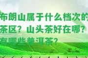 布朗山屬于什么檔次的茶區(qū)？山頭茶好在哪？有哪些普洱茶？