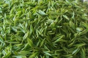 中國(guó)茶產(chǎn)業(yè)需要從品類走向品牌，午后紅茶