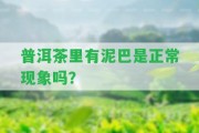 普洱茶里有泥巴是正常現(xiàn)象嗎？