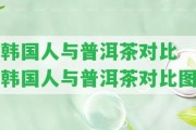 韓國人與普洱茶對比 韓國人與普洱茶對比圖