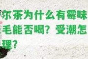 普爾茶為什么有霉味，長毛能否喝？受潮怎么解決？