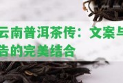 云南普洱茶傳：文案與告的完美結合