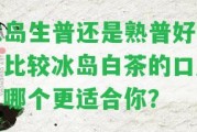 冰島生普還是熟普好喝？比較冰島白茶的口感，哪個更適合你？