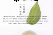 馬未都-崆峒祥云方言茶道，苦丁茶的功效與作用