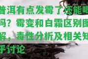 普洱有點(diǎn)發(fā)霉了還能喝嗎？霉變和白霜區(qū)別圖解，毒性分析及相關(guān)知乎討論