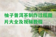 柚子普洱茶制作過程圖片大全及視頻教程