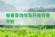 報(bào)春芽功效及藥用作用分析