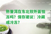 熟普洱在東北放外面怕凍嗎？保存建議：冷藏或冷凍？