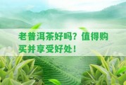 老普洱茶好嗎？值得購(gòu)買并享受好處！