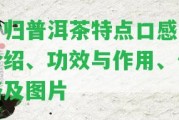 昔歸普洱茶特點(diǎn)口感、介紹、功效與作用、價(jià)格及圖片