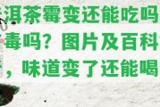 普洱茶霉變還能吃嗎？有毒嗎？圖片及百科解析，味道變了還能喝嗎？