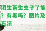 普洱生茶生蟲子了能喝嗎？有毒嗎？圖片及解決方法