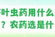 打茶葉蟲(chóng)藥用什么成分好用？農(nóng)藥選是什么？