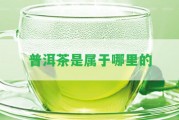 普洱茶是屬于哪里的