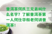 普洱茶何氏三兄弟叫什么名字？熟悉普洱茶第一人何仕華和老何講普洱茶！