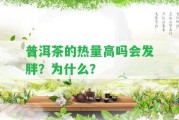 普洱茶的熱量高嗎會(huì)發(fā)胖？為什么？