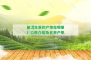 普洱生茶的產(chǎn)地在哪里？口感介紹及名茶產(chǎn)地