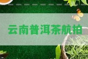 云南普洱茶航拍