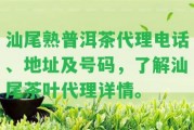 汕尾熟普洱茶代理電話、地址及號(hào)碼，熟悉汕尾茶葉代理詳情。