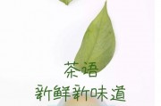 制作經(jīng)典紅茶口感醇厚，梔子花的功效與作用