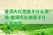 普洱大紅袍屬于什么茶類-普洱大紅袍屬于什么茶類型