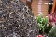 大益普洱茶滄海報(bào)價(jià)及市場最新價(jià)格查詢表