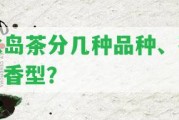 冰島茶分幾種品種、茶、香型？