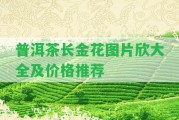 普洱茶長金花圖片欣大全及價(jià)格推薦